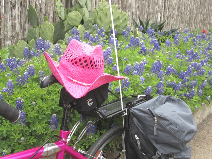 Close up of the Pink half of the pink and blue tandem